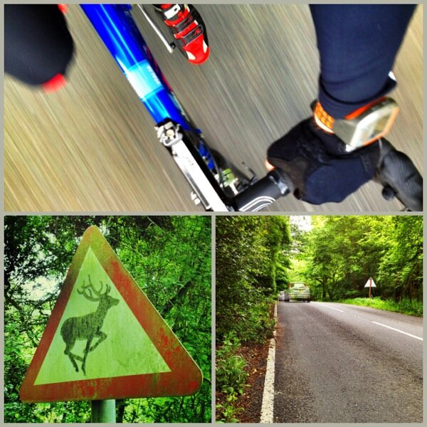 Cycling pic collage with Diptic