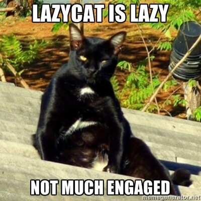 Lazy cat is lazy. Not much engaged